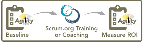 Agility Path Snapshot